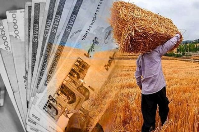 پرداخت مطالبات گندمکاران به 16 همت رسيد