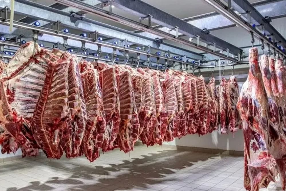سقوط 30 درصدی قیمت دام زنده؛ چرا قیمت گوشت برای مردم ارزان نشد؟