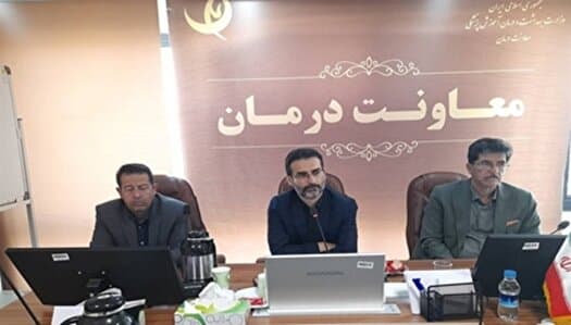مؤسسه‌های غیرمجاز مداخله‌گر در درمان پلمب می‌شوند