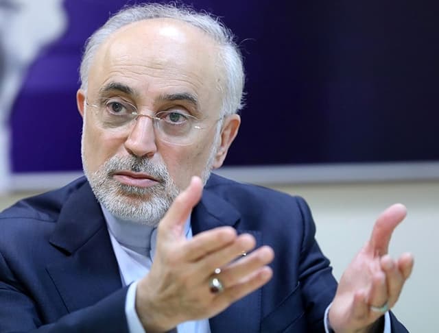 صالحی: یک ایرانی هم به دلیل جنگ پناهنده نشد