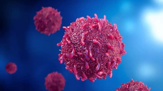 آنچه تاکنون از هانتاویروس فهمیدهاند
