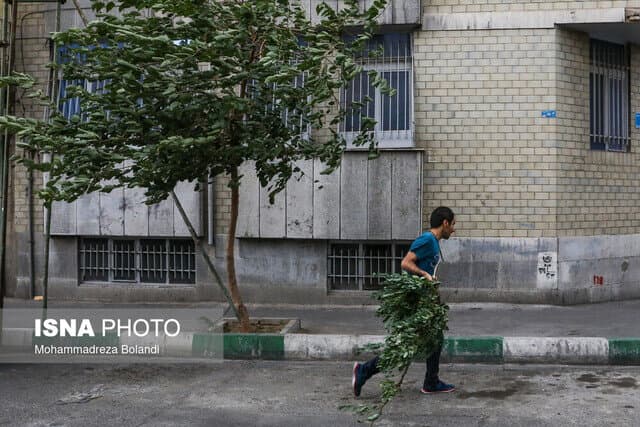 وزش باد شدید در تهران