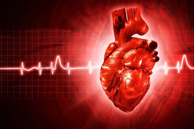 کدام بیماریها عامل تپش قلب در هنگام استراحت هستند؟