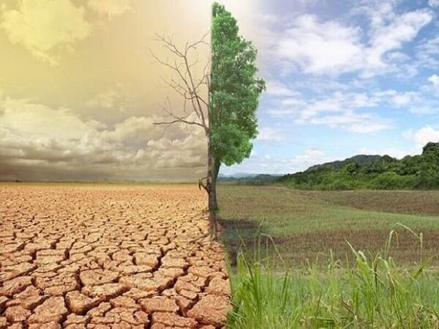 بیابانزدایی موثر نیازمند برنامهریزی بلندمدت است