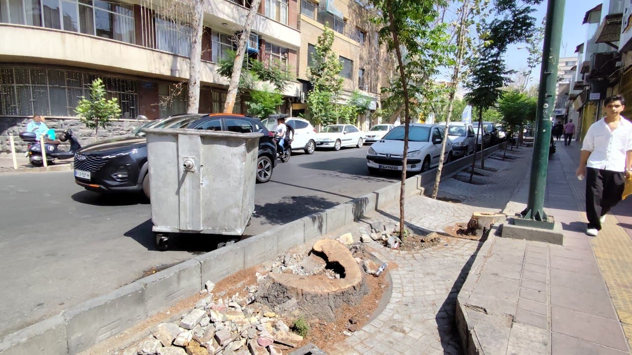 زخم تازه بر پیکر خیابانهای تاریخی ولیعصر و فلسطین