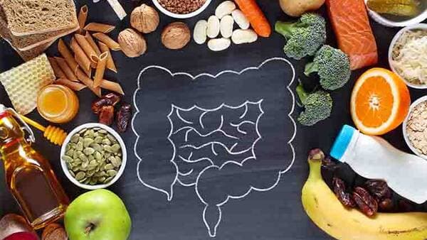 موادغذایی که در فصل گرما دستگاه گوارش شما را اذیت میکند