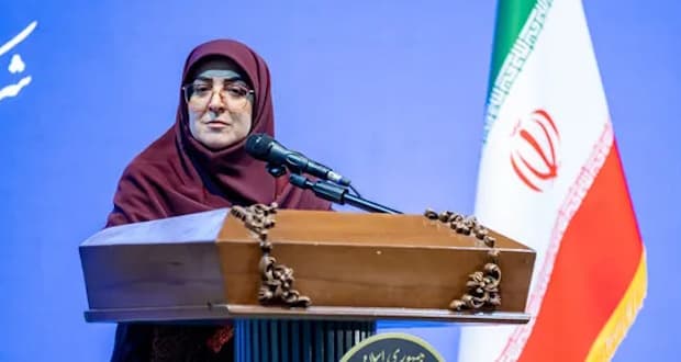 سخنگوی دولت: اینترنت گروهی از مردم متصل میشود