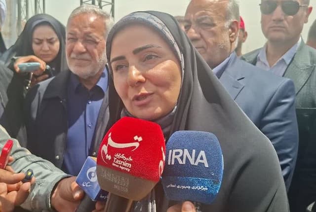 وزیر راه: امنیت قلمرو یوزپلنگ ایرانی در طرحهای راهسازی سمنان مورد توجه است