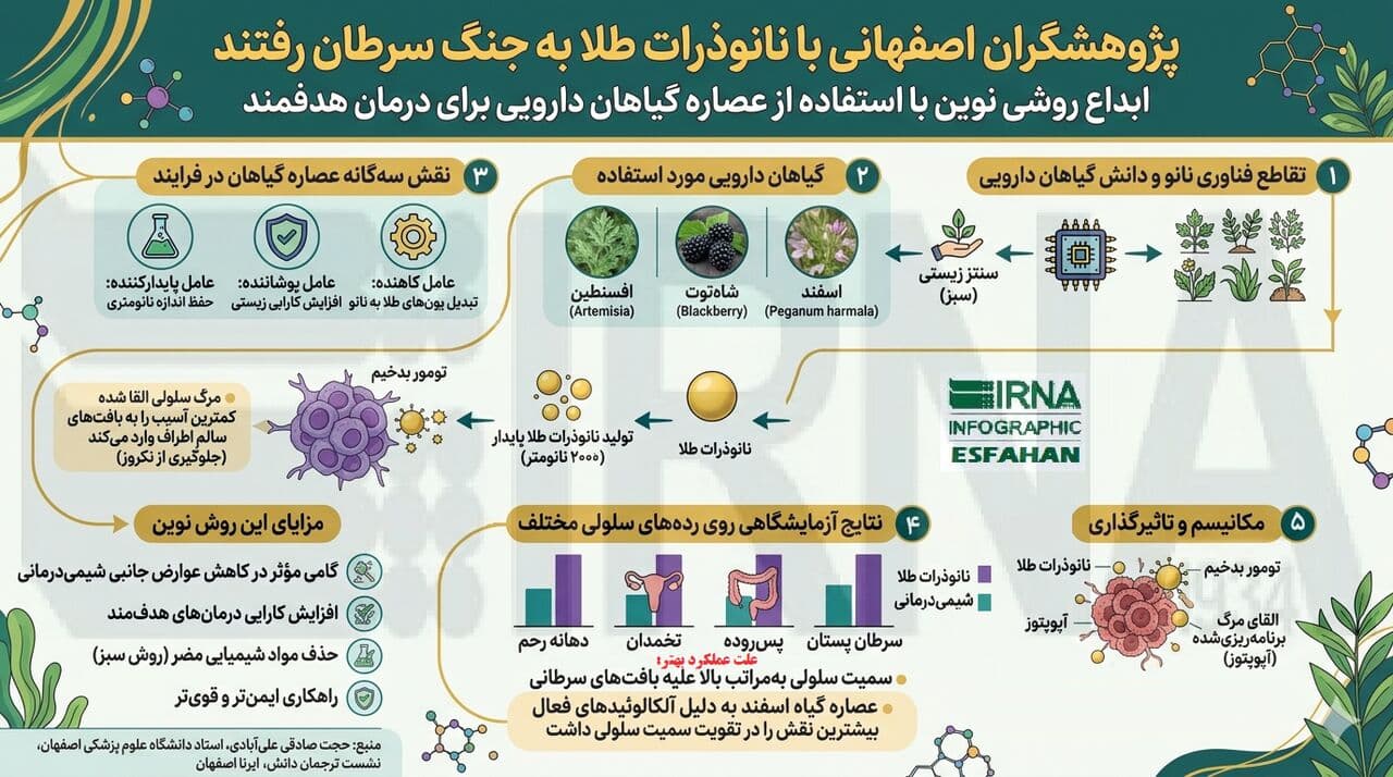 اینفوگرافیک|پژوهشگران اصفهانی با نانوذرات طلا به جنگ سرطان رفتند