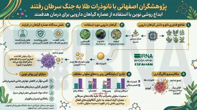 اینفوگرافیک|پژوهشگران اصفهانی با نانوذرات طلا به جنگ سرطان رفتند