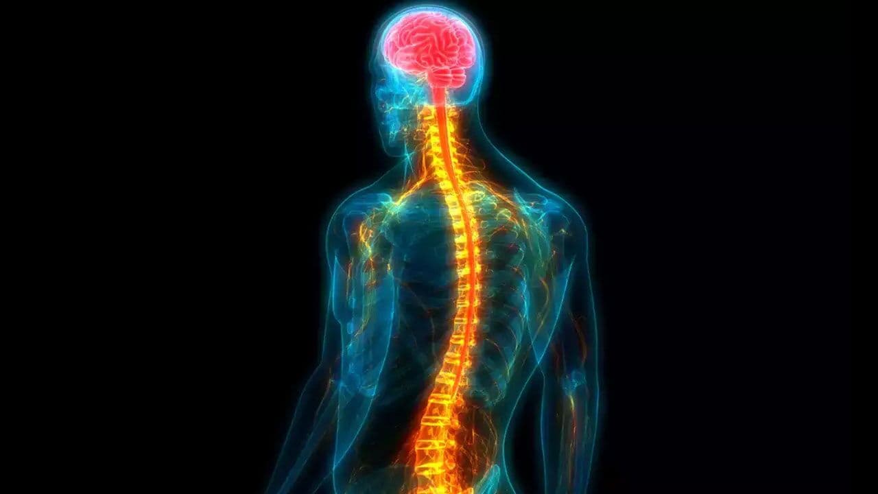 ترمیم نخاع آسیبدیده با کمک سلولهای بنیادی و نانوذرات