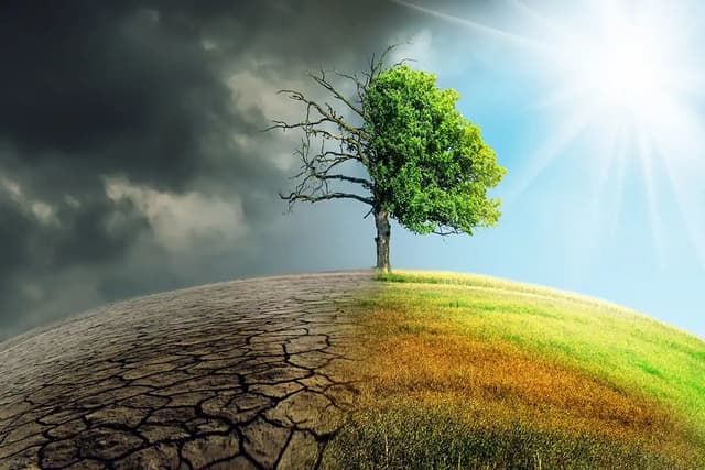 محیطزیست از حاشیه به متن تصمیمگیریها بازگردد/ از نگاه منابع ارزان و بیپایان عبور کنیم