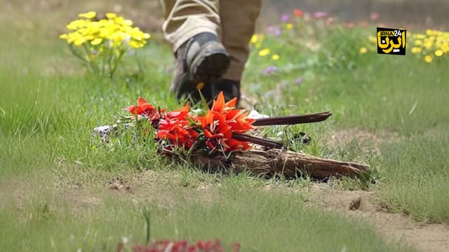 رفتار وارونه با لالههای واژگون