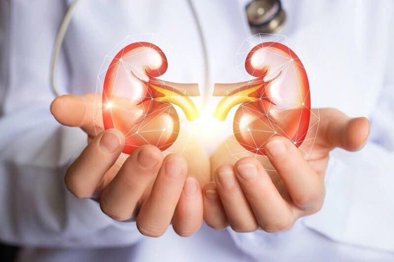 با این راهکارها بیماریهای کلیوی را از خود دور کنید
