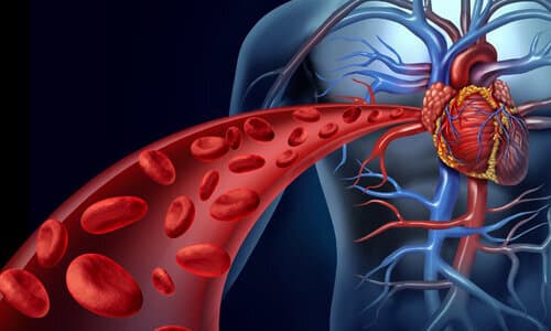 کدام خوراکیها از لخته شدن خون جلوگیری میکنند؟