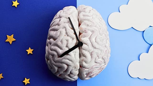 بیدار ماندن تا دیروقت چه ارتباطی با آلزایمر دارد؟