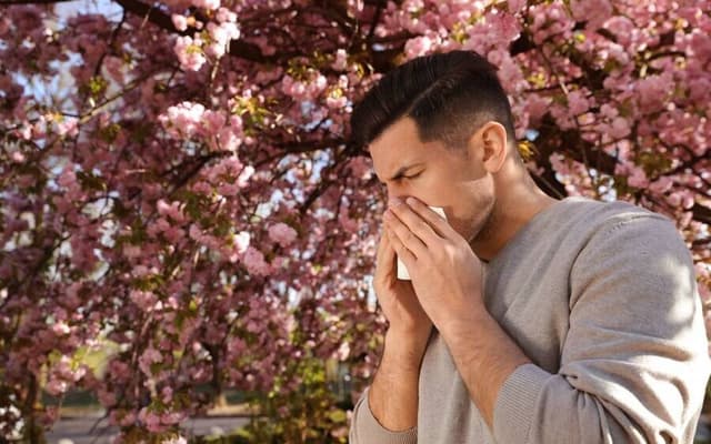 خستگی، عطسه و خارش چشم؛ این علائم چرا در بهار سراغمان میآیند؟