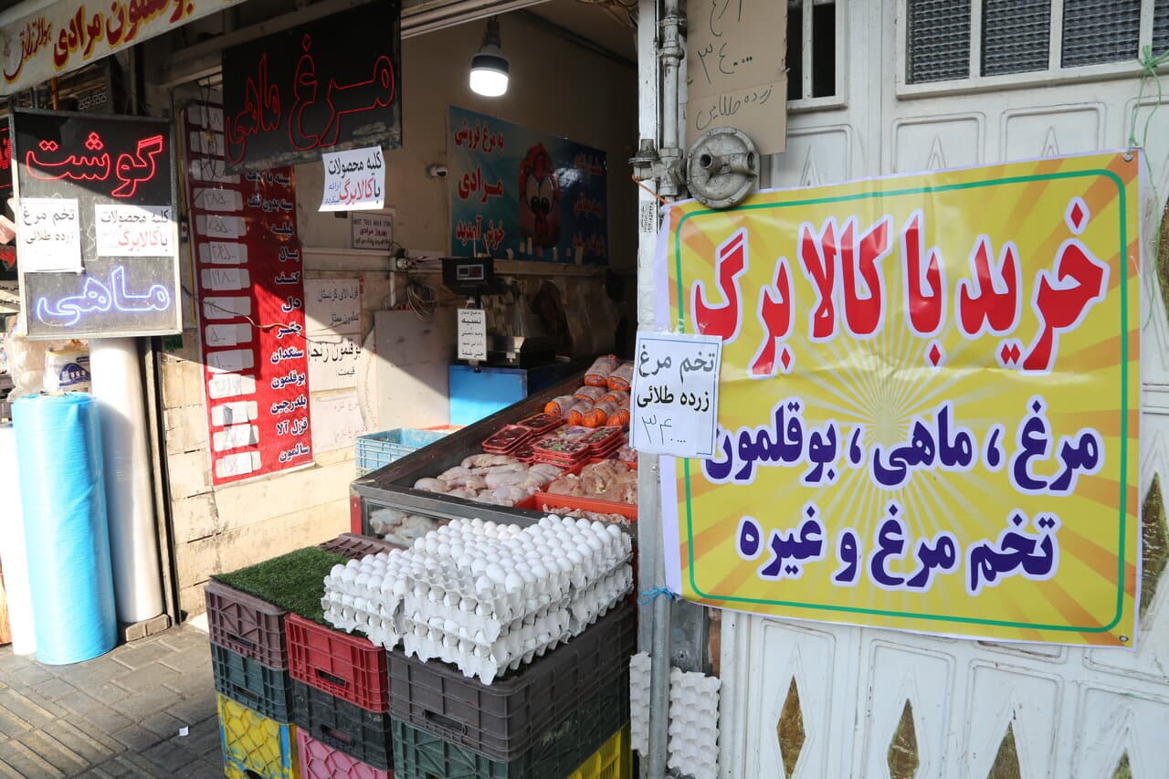 خبر مهم وزیر جهاد کشاورزی درباره کالابرگ/ افزایش اعتبار به زودی؟