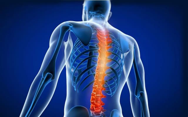 چرا باید قوز کردن را جدی بگیریم؟