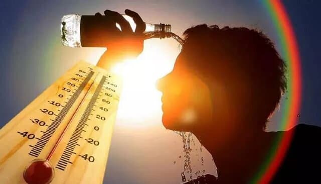چرا گرمای تابستان برای کلیهها خطرناک است؟