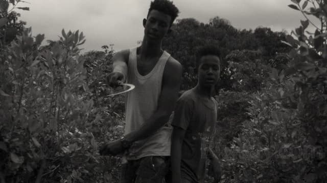 IAF screens American-Ethiopian documentary “Faya Dayi”