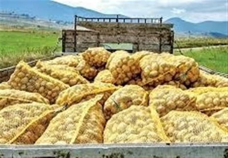 جهش 700 درصدی قیمت سیبزمینی در اروپا با بحران تنگه هرمز