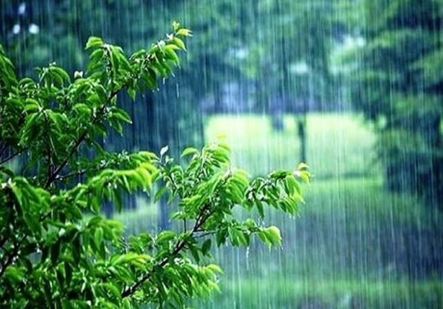 پیش بینی رگبار و رعدو برق در شمال غرب و جنوبشرق