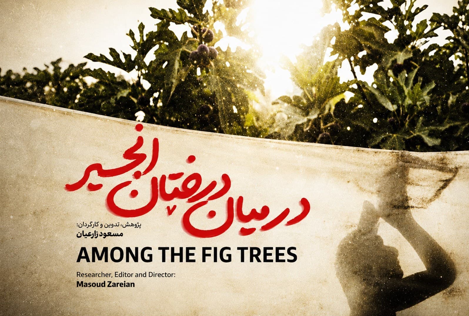 «در میان درختان انجیر»؛ روایت ناب موکبداری مادر عراقی در مسیر اربعین