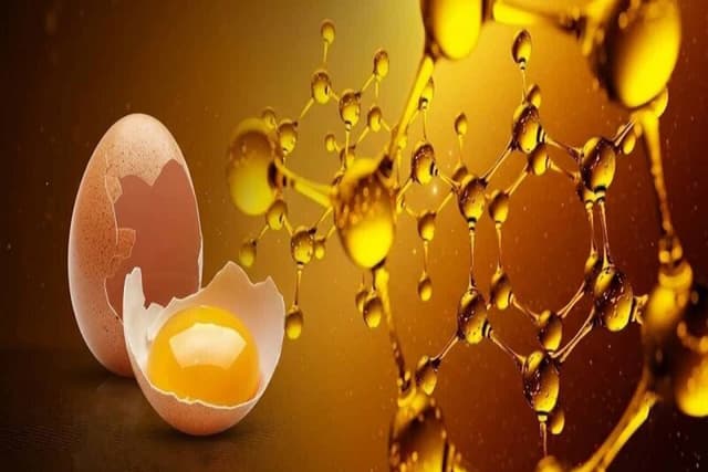 چگونگی بهبود اسیدهای چرب و آنتیاکسیدان تخممرغ