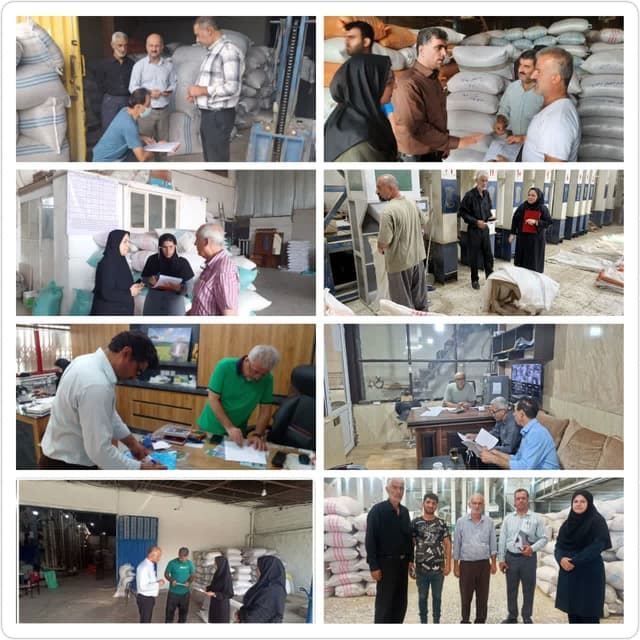 پايش 32 شاليکوبي در رزمايش نظارتي شهرستان بابل/ شفافيت در عرضه برنج با پايش مستمر سامانه جامع انبارها