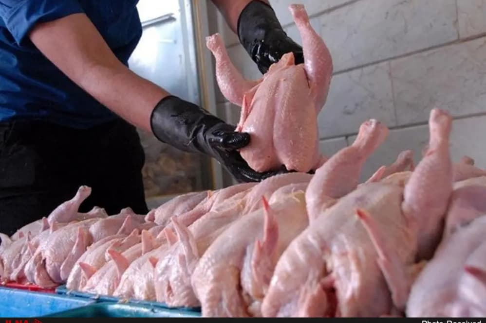 قيمت مرغ در ميادين ميوه و ترهبار چند؟