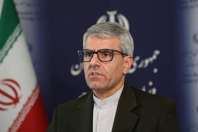 بقایی: ترمیم زیستبوم تنگه هرمز باید بخشی از ترتیبات مدیریت آن باشد