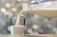 شیر؛ طلای سفید سلامت استخوانها و سپر پیشگیری از بیماریهای غیرواگیر