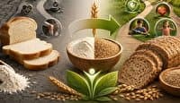 سازمان غذا و دارو برای حذف آرد سفید برنامه ارائه داد