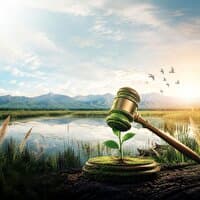 جایگزینی ۵۴۰ ساعت خدمت محیطزیستی با حبس در اسدآباد همدان