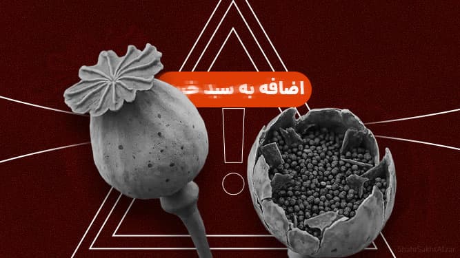 فروش شوکهکننده بذر و ابزار برداشت مواد مخدر در یکی از پلتفرمهای مشهور!